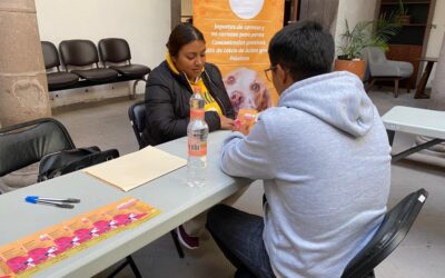 UN ÉXITO JORNADAS DEL EMPLEO EN APOYO A LAS POTOSINAS