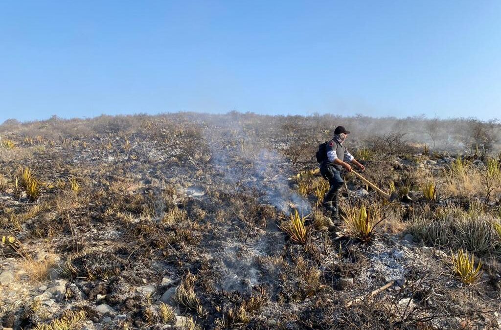 EN 2023, SE ATENDIERON 31 INCENDIOS FORESTALES
