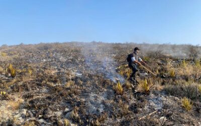 EN 2023, SE ATENDIERON 31 INCENDIOS FORESTALES