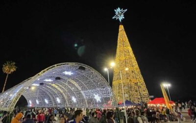 10 DE DICIEMBRE SERÁ EL ENCENDIDO DEL ÁRBOL MONUMENTAL EN LA FENAPO