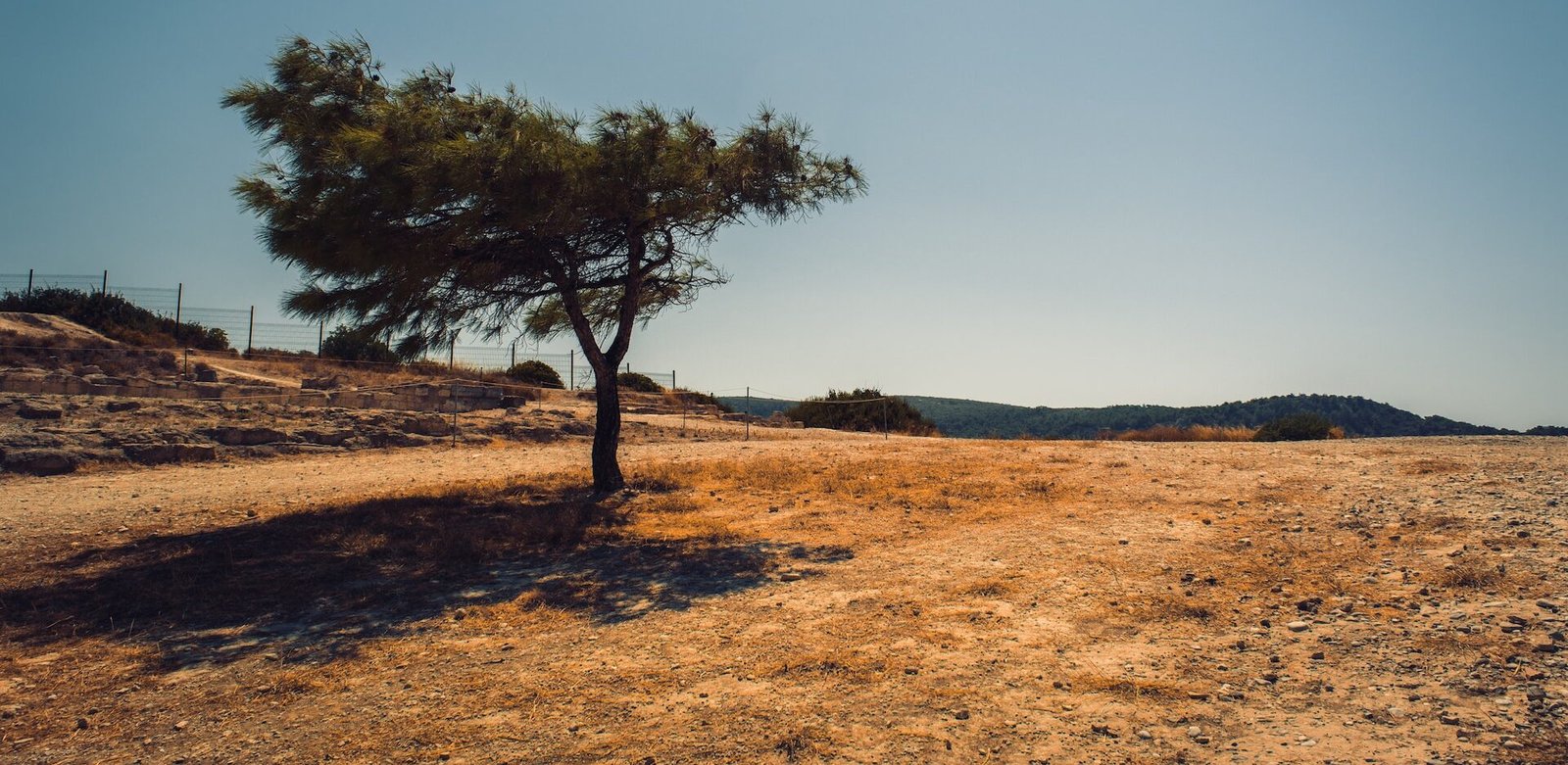 BUSCARÁ ESTADO DECLARATORIA DE DESASTRE POR SEQUÍA