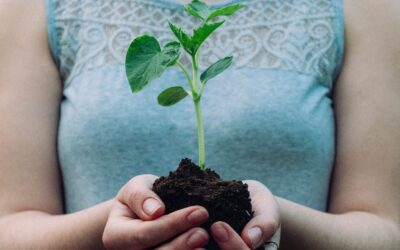 PROMUEVEN CUIDADO DEL MEDIO AMBIENTE EN ESCUELAS