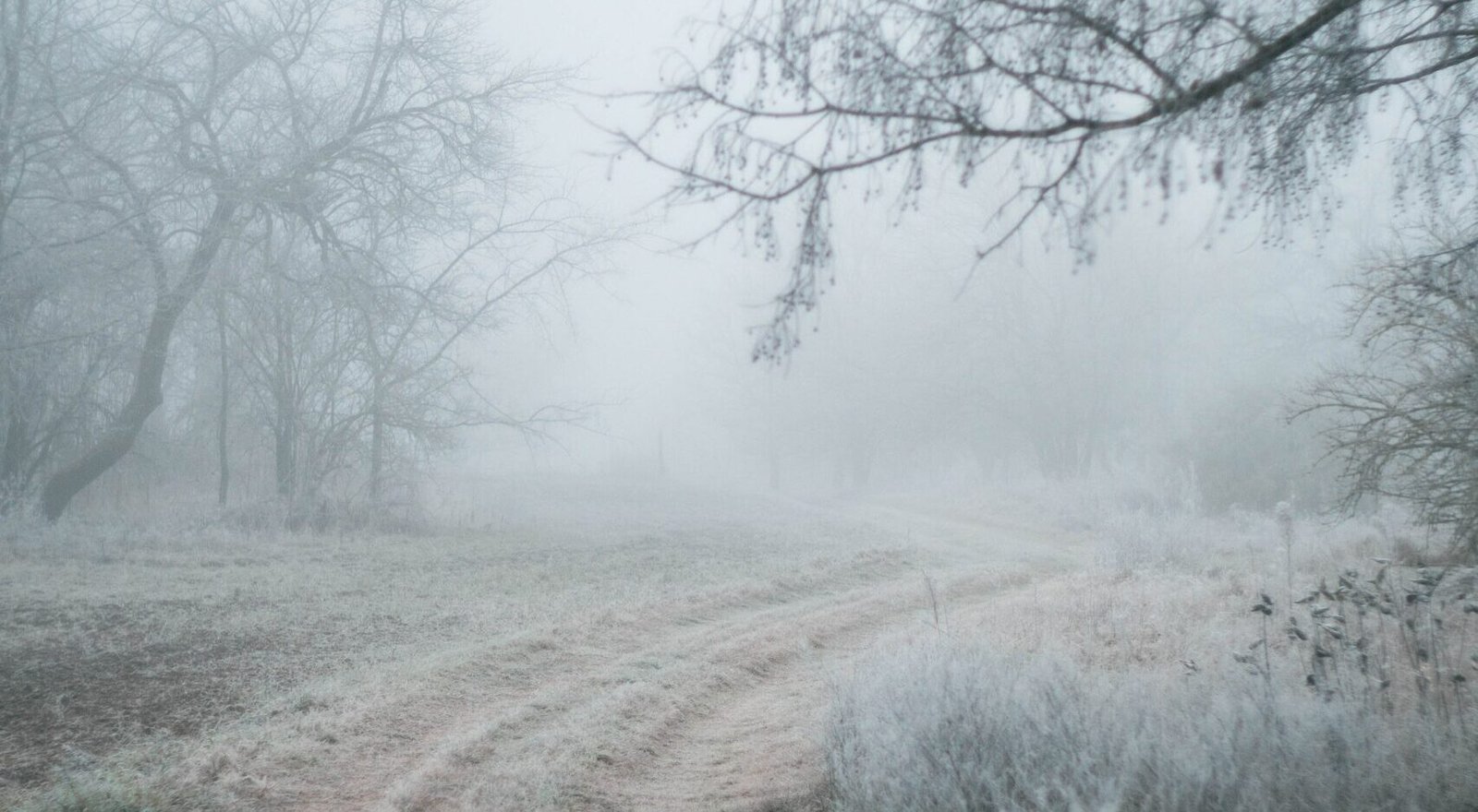 VIENEN MÁS BAJAS TEMPERATURAS PARA SLP