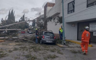 ATIENDEN REPORTES POR RÁFAGAS DE VIENTO