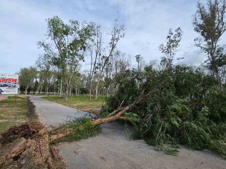 CIERRAN PARQUES TANGAMANGA POR RÁFAGAS DE VIENTO
