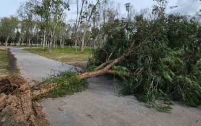 CIERRAN PARQUES TANGAMANGA POR RÁFAGAS DE VIENTO