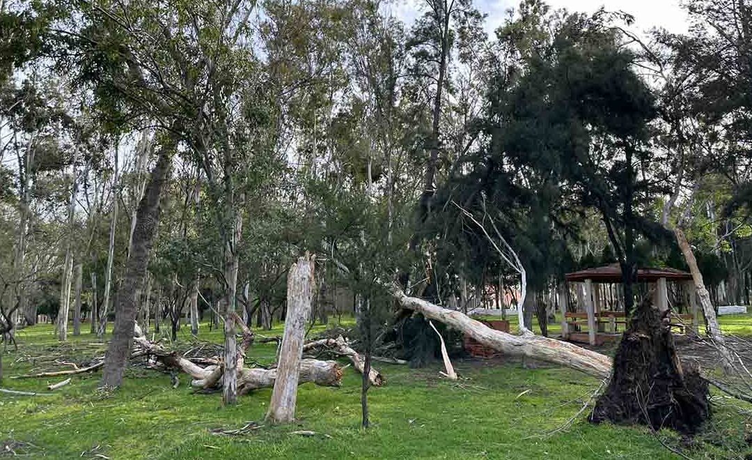 ESTE MARTES 9 DE ENERO EL TANGAMANGA I PERMANECERÁ CERRADO