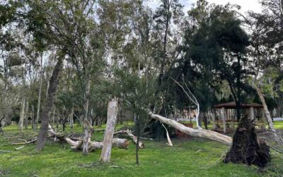 ESTE MARTES 9 DE ENERO EL TANGAMANGA I PERMANECERÁ CERRADO