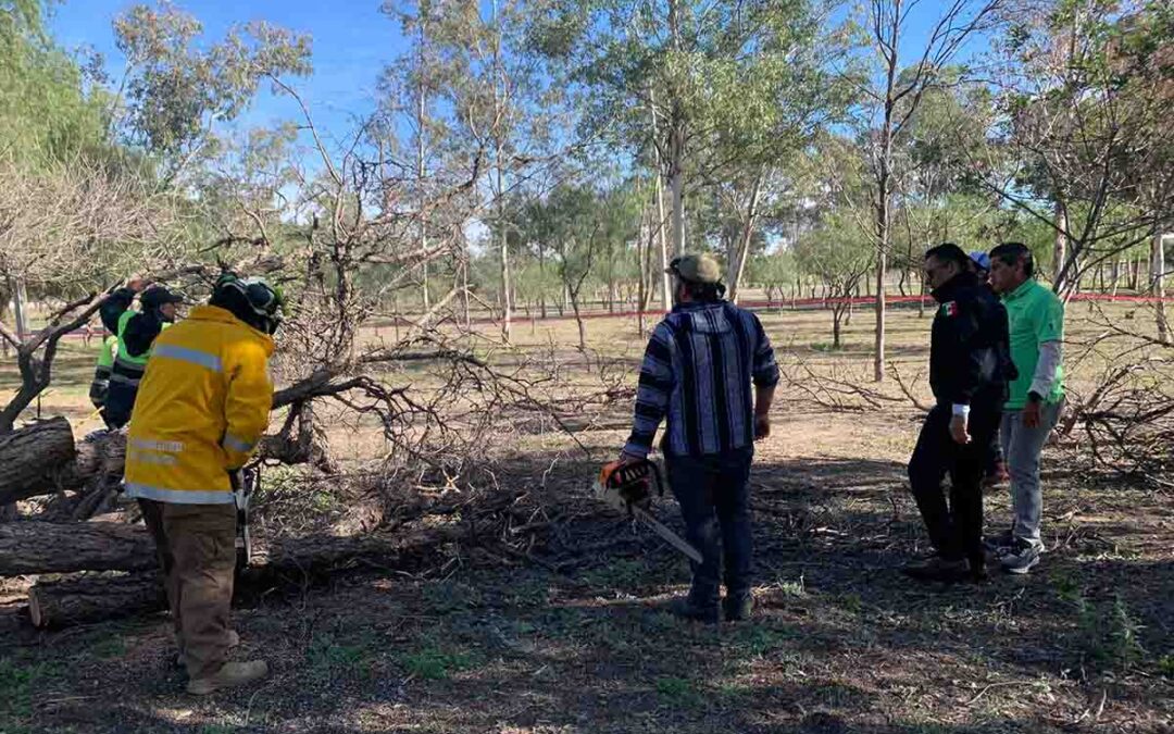 GOBIERNO ESTATAL ATENDIÓ REPORTES POR FUERTES VIENTOS