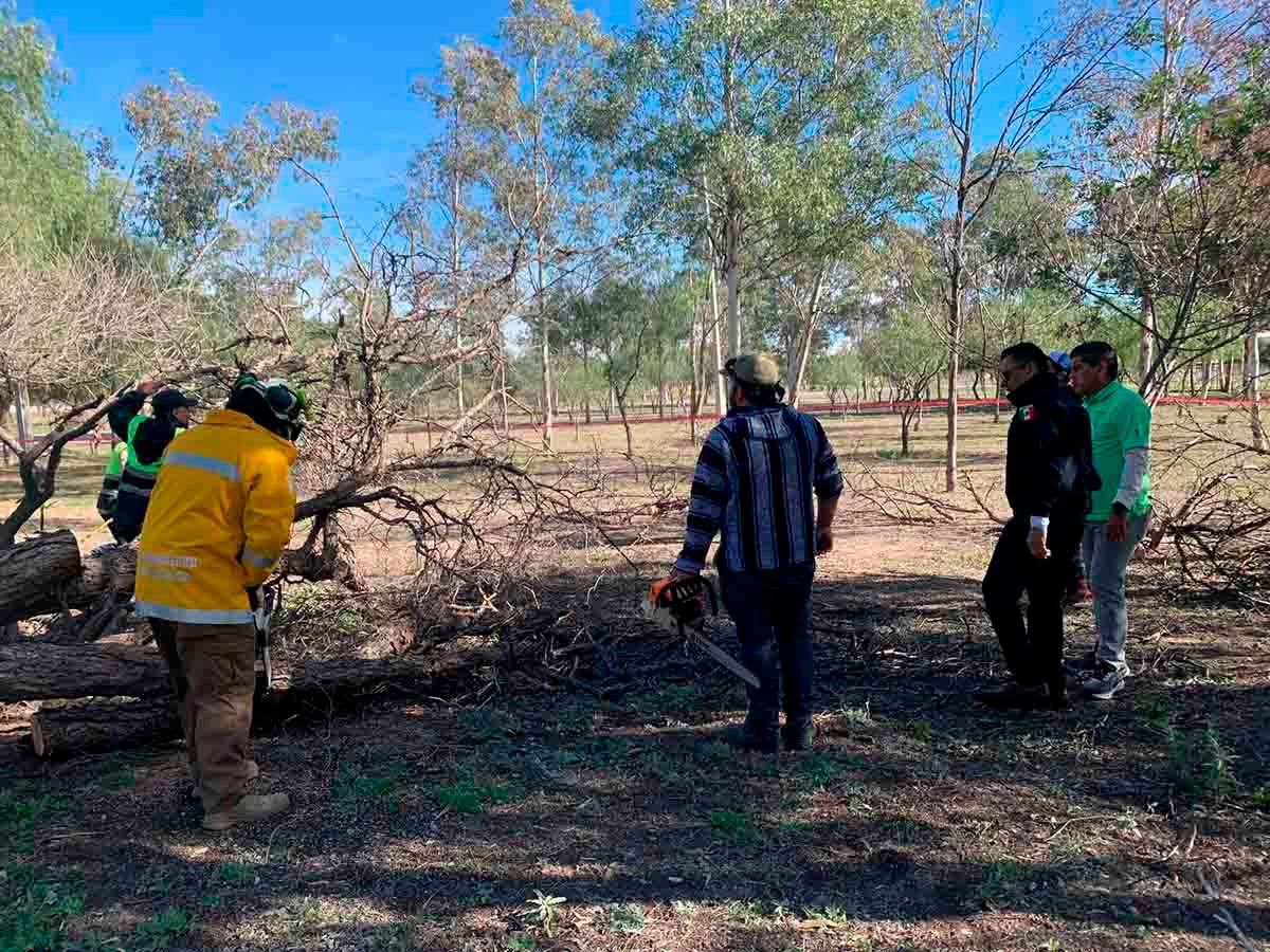 GOBIERNO ESTATAL ATENDIÓ REPORTES POR FUERTES VIENTOS