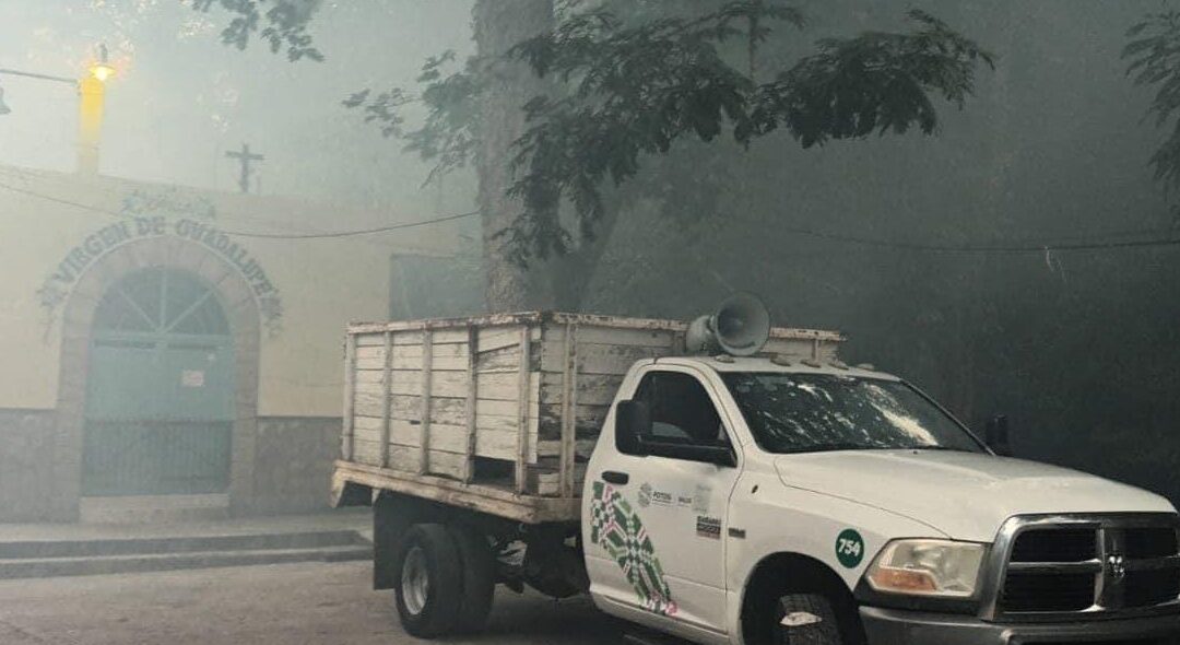 SERVICIOS DE SALUD REANUDAN ACCIONES CONTRA EL DENGUE