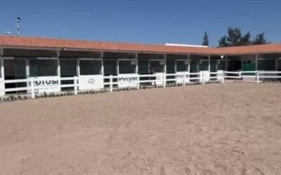 CON CENTRO ESTATAL DE EQUINOTERAPIA DESPEGÓ LA ATENCIÓN A PERSONAS CON DISCAPACIDAD