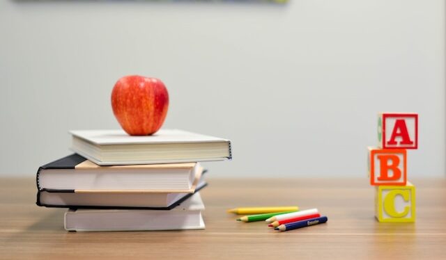 COMIENZAN EN FEBRERO LAS PREINSCRIPCIONES A EDUCACIÓN BÁSICA