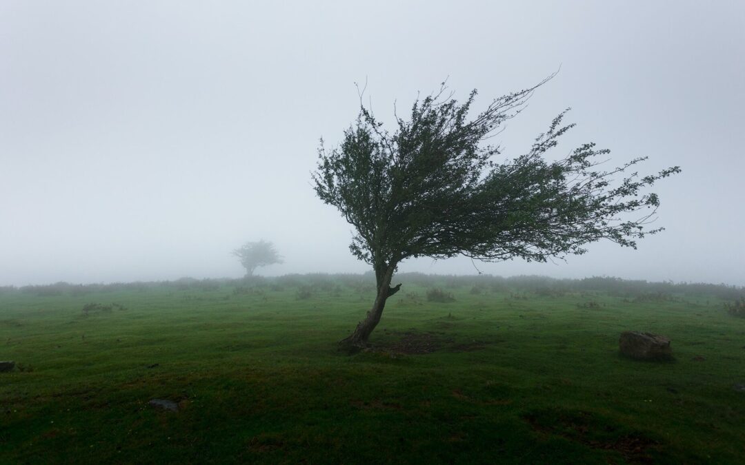 ALERTA POR RÁFAGAS DE VIENTO EN LA ZONA METROPOLITANA