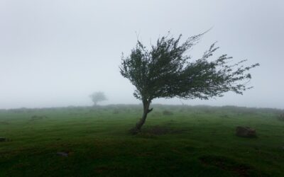 ALERTA POR RÁFAGAS DE VIENTO EN LA ZONA METROPOLITANA