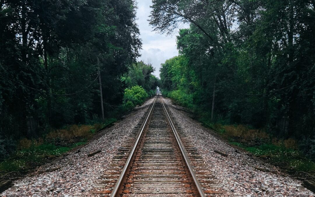 VOLVERÁN TRENES DE PASAJEROS A SLP: GOBIERNO DE MÉXICO