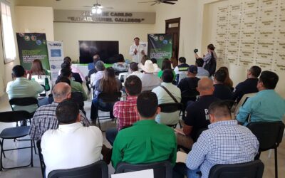 BRINDARÁN CAPACITACIÓN A MUNICIPIOS EN GUÍA CONSULTIVA DE DESEMPEÑO MUNICIPAL