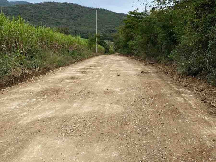 DARÁN MANTENIMIENTO EN RUTAS DE TRANSPORTE DE CAÑA EN TAMASOPO