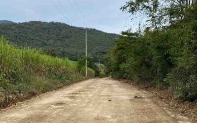 DARÁN MANTENIMIENTO EN RUTAS DE TRANSPORTE DE CAÑA EN TAMASOPO