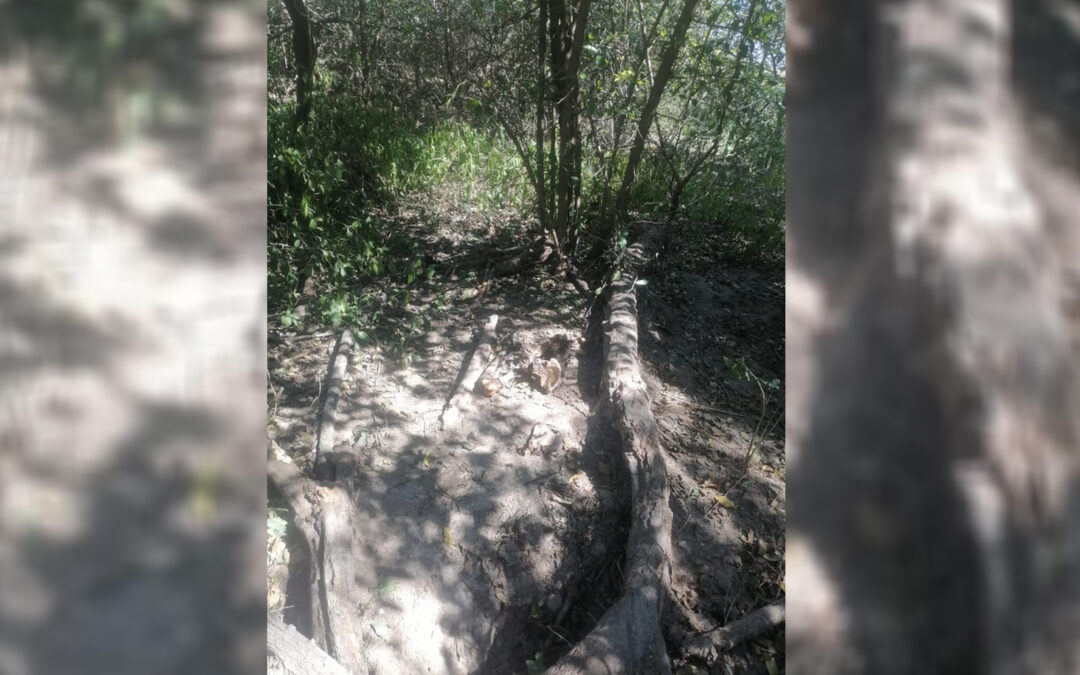 ENCONTRARON RESTOS HUMANOS EN RANCHO DE TAMUÍN