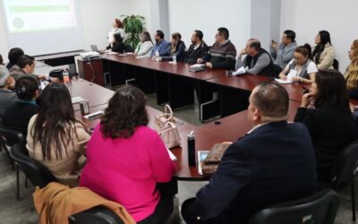 CAPACITAN A ÓRGANOS INTERNOS DE CONTROL PARA PRESENTAR DECLARACIONES PATRIMONIALES