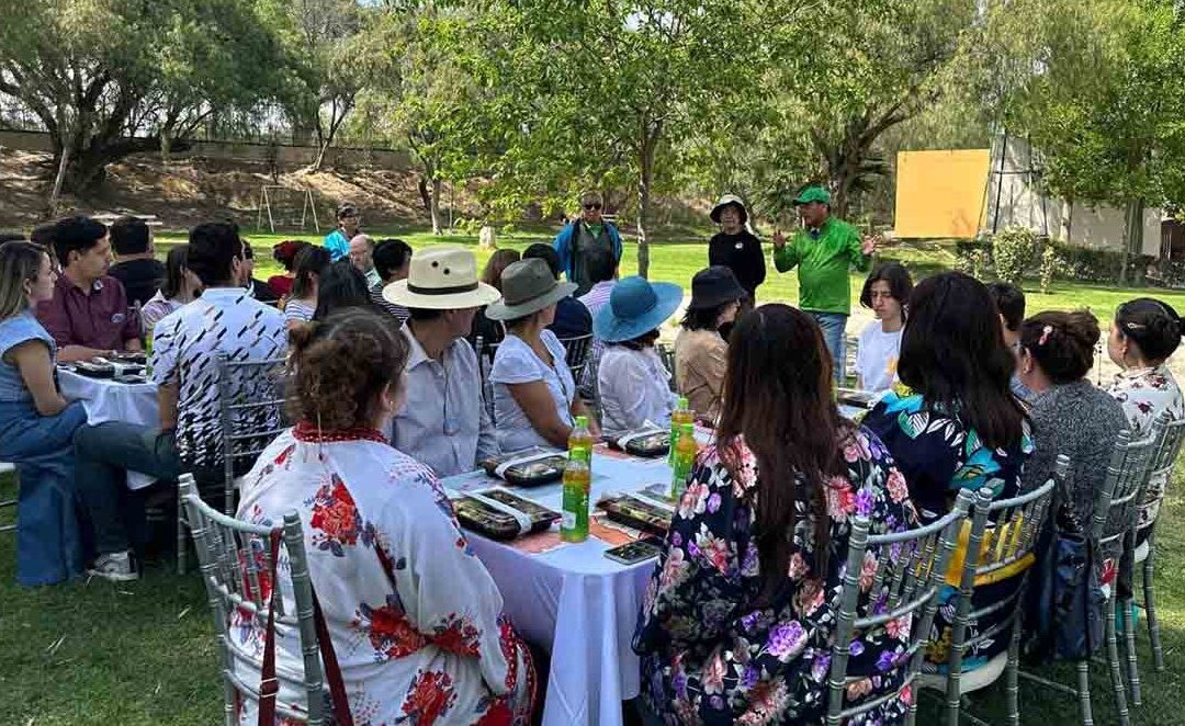SE LLEVÓ A CABO PICNIC JAPONÉS EN EL PARQUE TANGAMANGA I