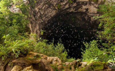TRES ATRACTIVOS NATURALES DE LA HUASTECA NOMINADOS A «MÉXICO DESCONOCIDO 2024»
