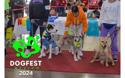 SE REALIZARÁ DOGFEST 2024 EN CENTRO DE CONVENCIONES DE SAN LUIS POTOSÍ