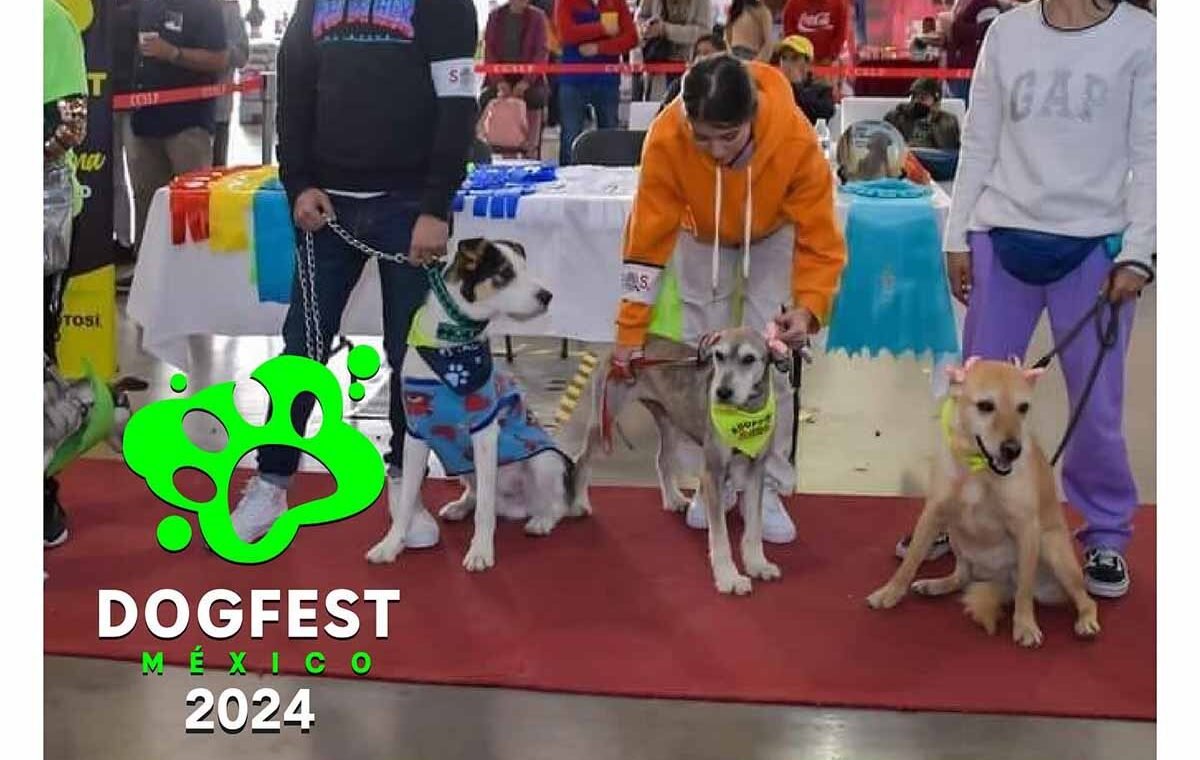 SE REALIZARÁ DOGFEST 2024 EN CENTRO DE CONVENCIONES DE SAN LUIS POTOSÍ