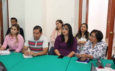 AVANZA CONSULTA PARA PERSONAS CON DISCAPACIDAD: Planificación en Marcha