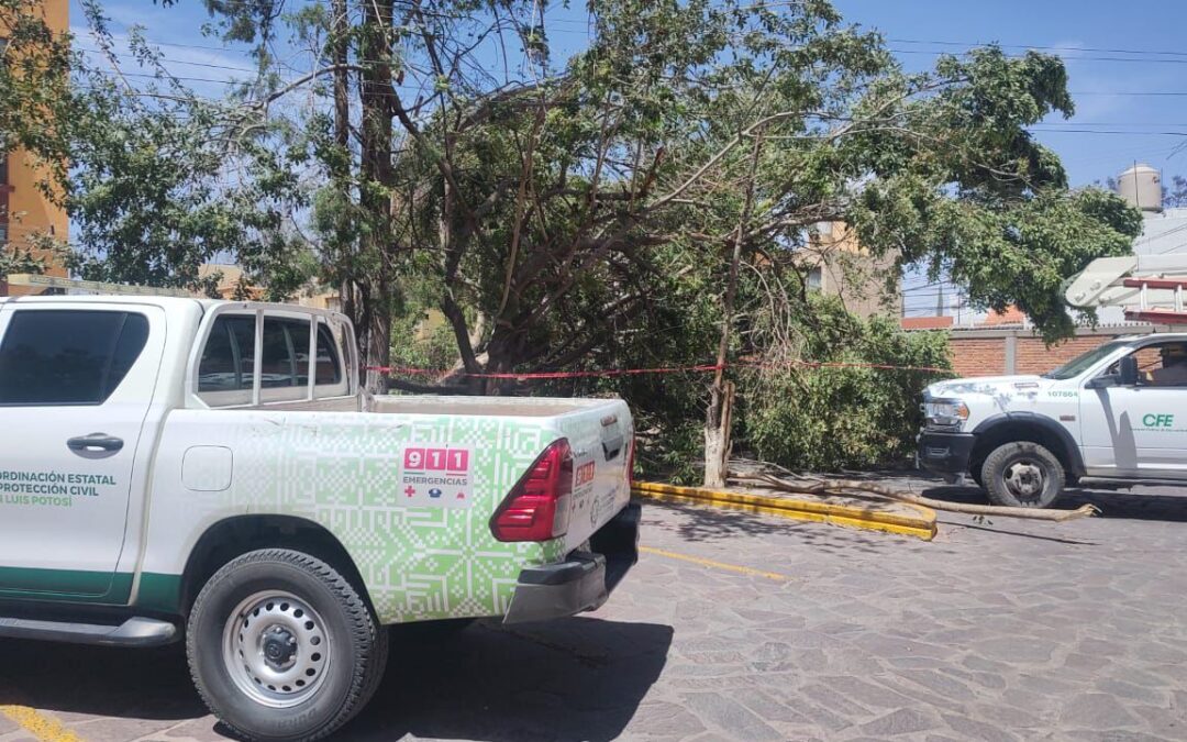 PROTECCIÓN CIVIL ESTATAL ATIENDE REPORTES POR FUERTES VIENTOS