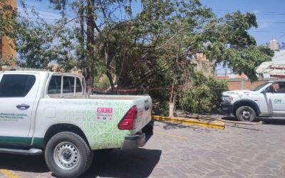 PROTECCIÓN CIVIL ESTATAL ATIENDE REPORTES POR FUERTES VIENTOS