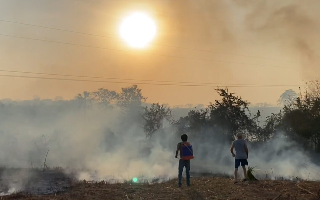 BUSCAN PREVENIR INCENDIOS FORESTALES EN LA HUASTECA