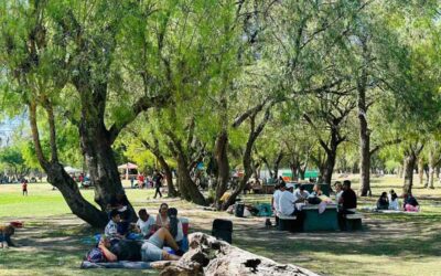 Éxito de Convocatoria: Más de 180 Mil Visitantes Disfrutan de Parques Tangamanga y Las Camelias
