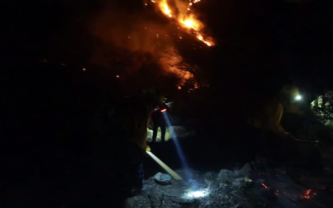 CONTINUA LA LUCHA CONTRA EL FUEGO EN LA SIERRA DE SAN MIGUELITO