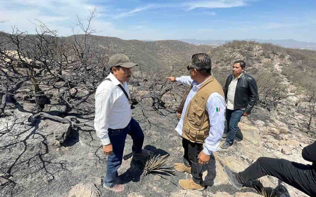 CONTROLADO INCENDIO EN SIERRA DE SAN MIGUELITO