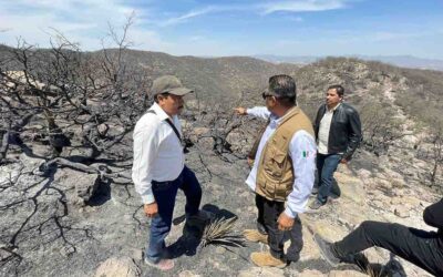 CONTROLADO INCENDIO EN SIERRA DE SAN MIGUELITO