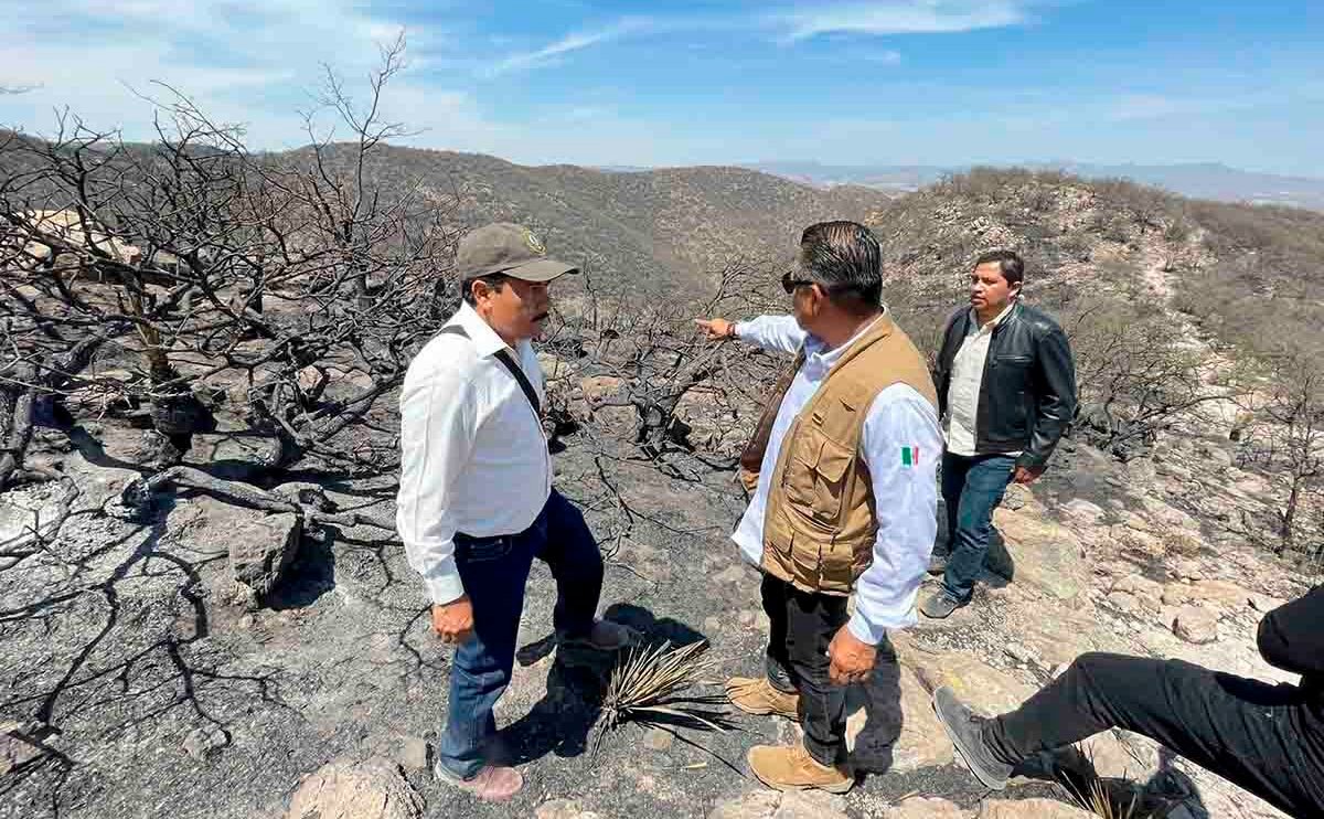 CONTROLADO INCENDIO EN SIERRA DE SAN MIGUELITO