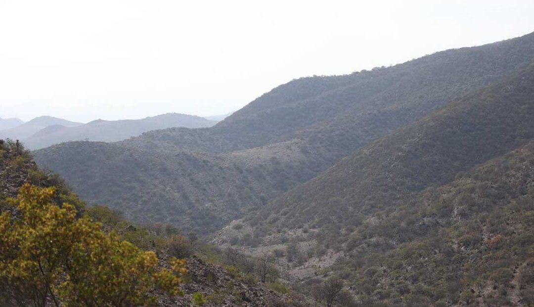 SUPERVISAN SIERRA DE SAN MIGUELITO TRAS INCENDIOS