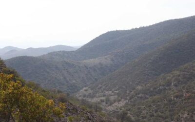 SUPERVISAN SIERRA DE SAN MIGUELITO TRAS INCENDIOS