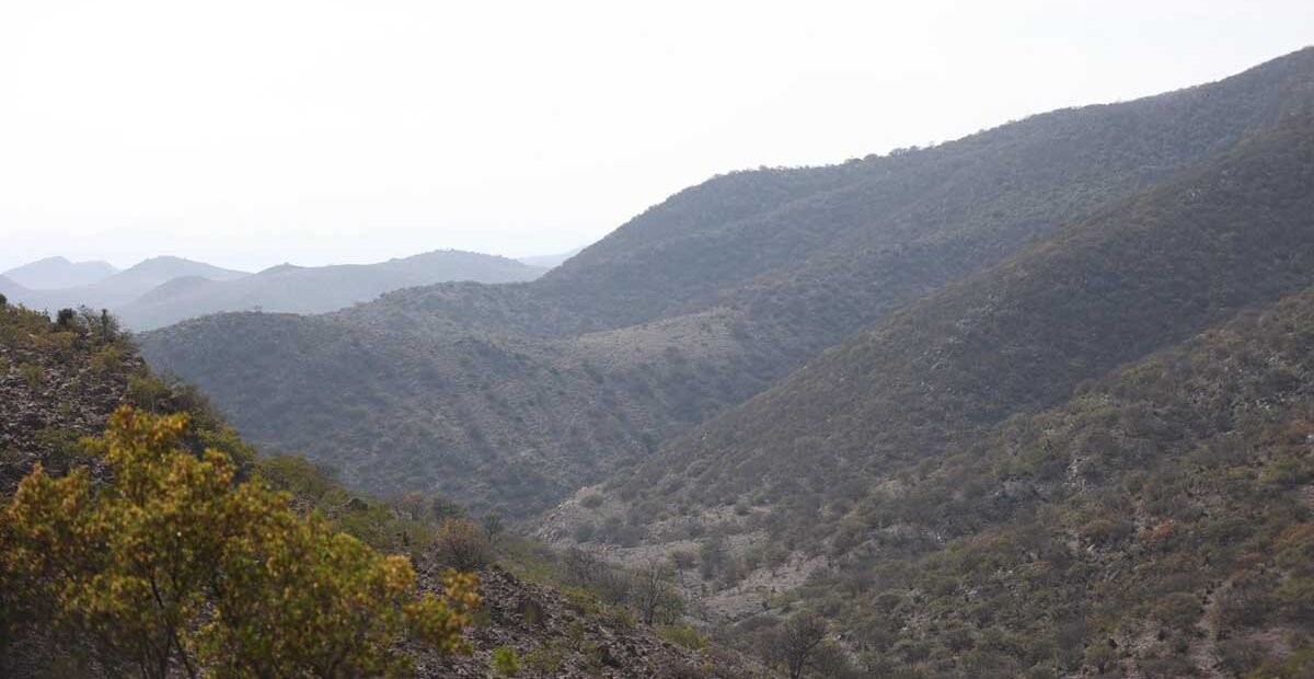 SUPERVISAN SIERRA DE SAN MIGUELITO TRAS INCENDIOS