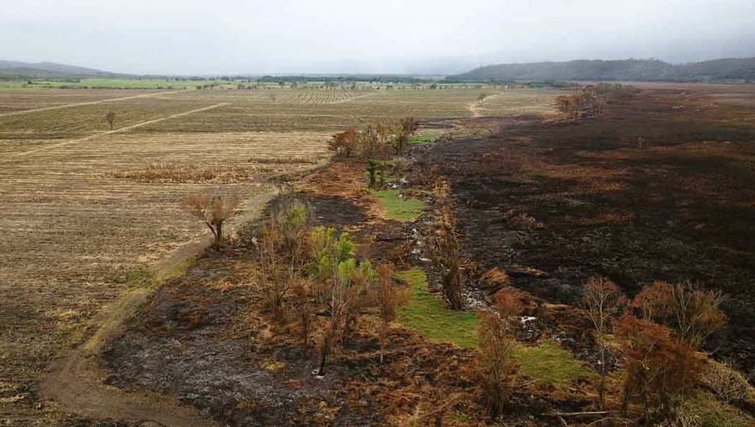 LLAMAN A PRODUCTORES AGRÍCOLAS A NO REALIZAR QUEMAS