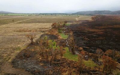 LLAMAN A PRODUCTORES AGRÍCOLAS A NO REALIZAR QUEMAS