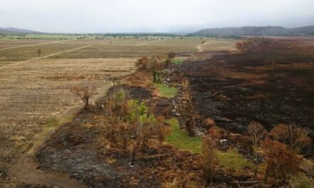 LLAMAN A PRODUCTORES AGRÍCOLAS A NO REALIZAR QUEMAS