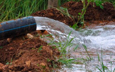 Proyectos Hidráulicos en Ciudad Valles: Perforación de Pozos y Construcción de Presa para Garantizar Agua