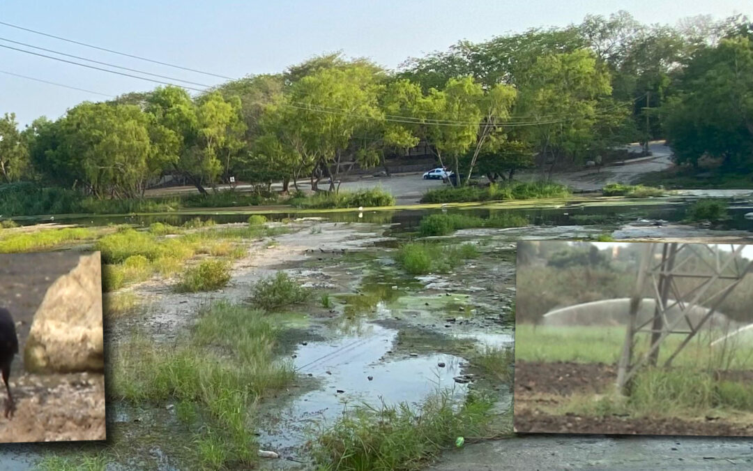 CIUDAD VALLES SE QUEDA SIN AGUA PARA ABASTECER CASAS Y COMERCIOS