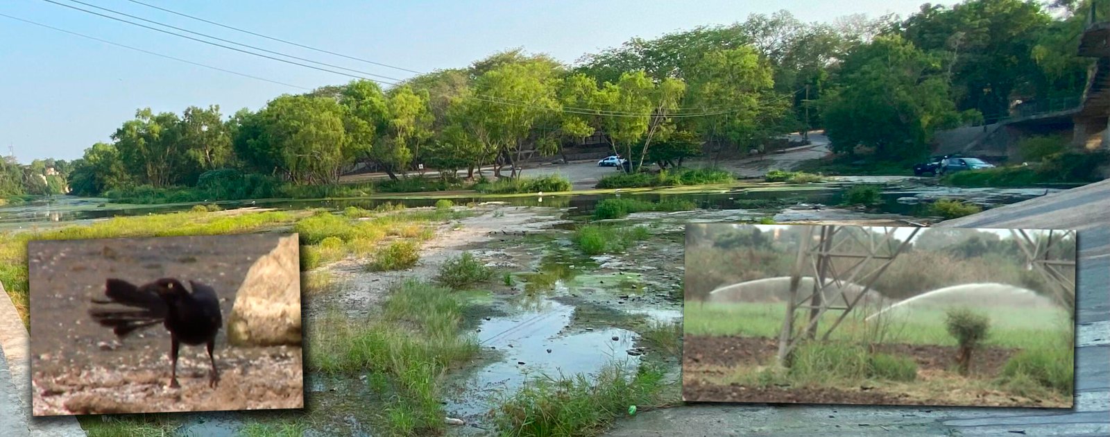 CIUDAD VALLES SE QUEDA SIN AGUA PARA ABASTECER CASAS Y COMERCIOS