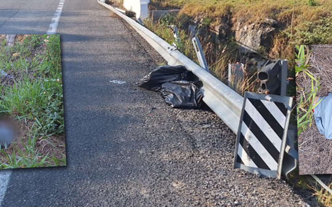 ABANDONAN BOLSAS CON CUERPOS DESMEMBRADOS EN LA VALLES – RIOVERDE