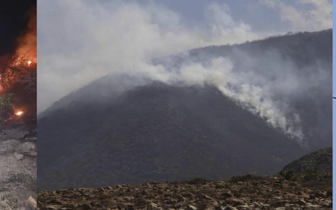 INCENDIOS ACTIVOS EN REGIÓN HUASTECA, ZONA MEDIA Y ZONA CENTRO