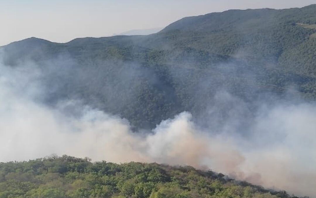 MÁS BRIGADISTAS SE SUMAN AL COMBATE DE INCENDIOS EN LOS LÍMITES DE LA ZONA MEDIA Y LA REGIÓN HUASTECA